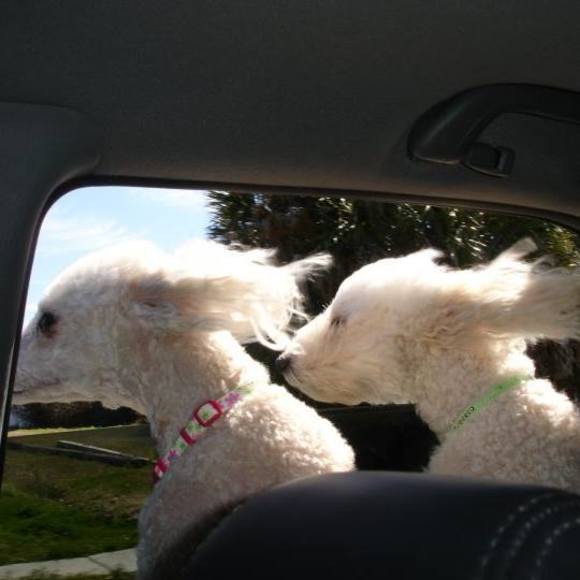 Meet your Posher, Kathy - Picture 1 of 1